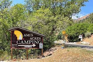 Campgrounds in Glenwood Springs, CO