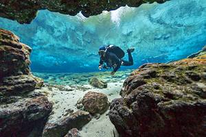 Florida's Springs