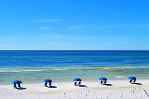 Things to Do in Seaside, FL