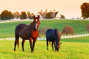 Tourist Attractions in Kentucky
