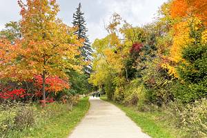 Things to Do in Petoskey, MI