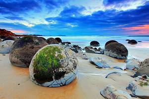 Tourist Attractions in Dunedin