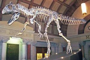 Museums in Columbus, Ohio