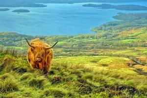 From Glasgow to Loch Ness: Ways to Get There