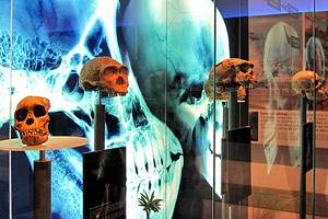 Tourist Attractions in Gauteng and the North West Province