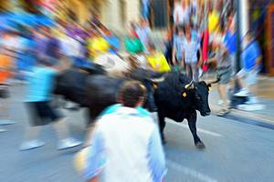 Tourist Attractions in Pamplona