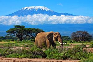 Tourist Attractions in Tanzania