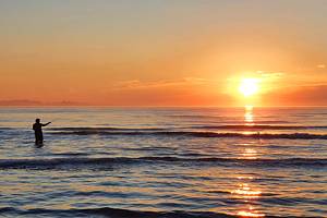 Things to Do in Port Aransas, TX