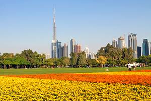 Dubai's Parks