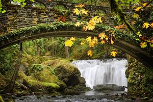 Tourist Attractions & Things to Do in Bellingham, WA