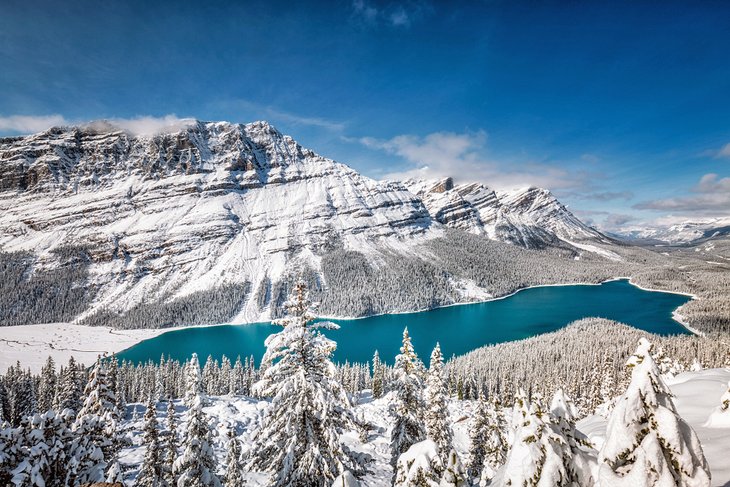 Winter at Peyto Lake in Banff National Park