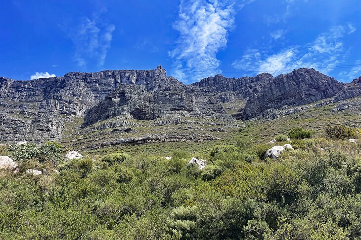 Table Mountain